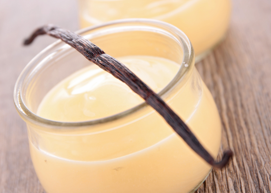 Crème dessert vanille
